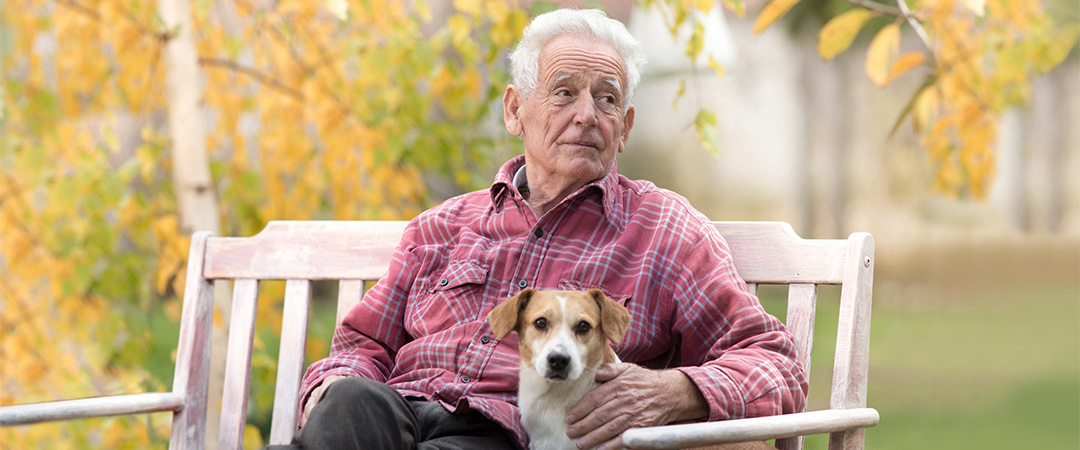 a man and a dog